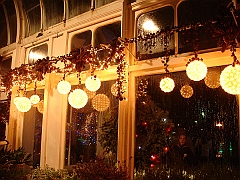 089 Toledo Zoo Light Show [2008 Dec 27]